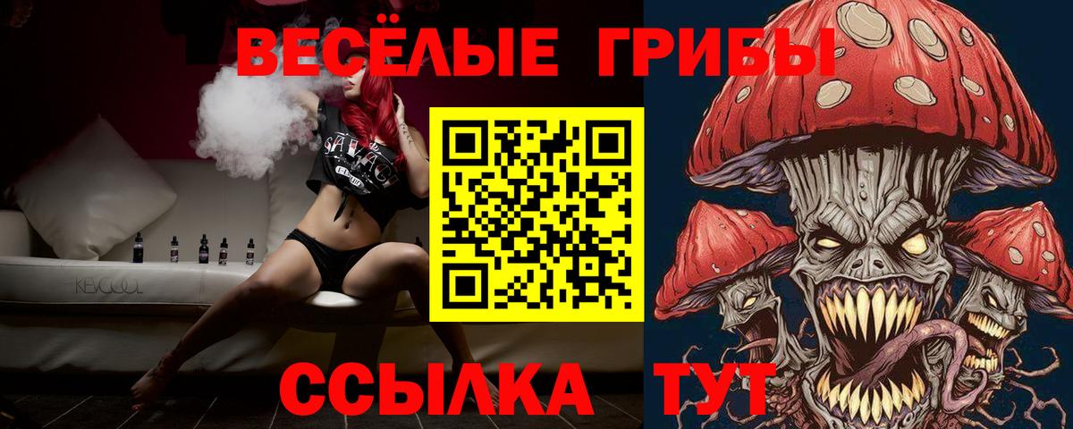 Галлюциногенные грибы Psilocybe  Вход с VPN  Бор 